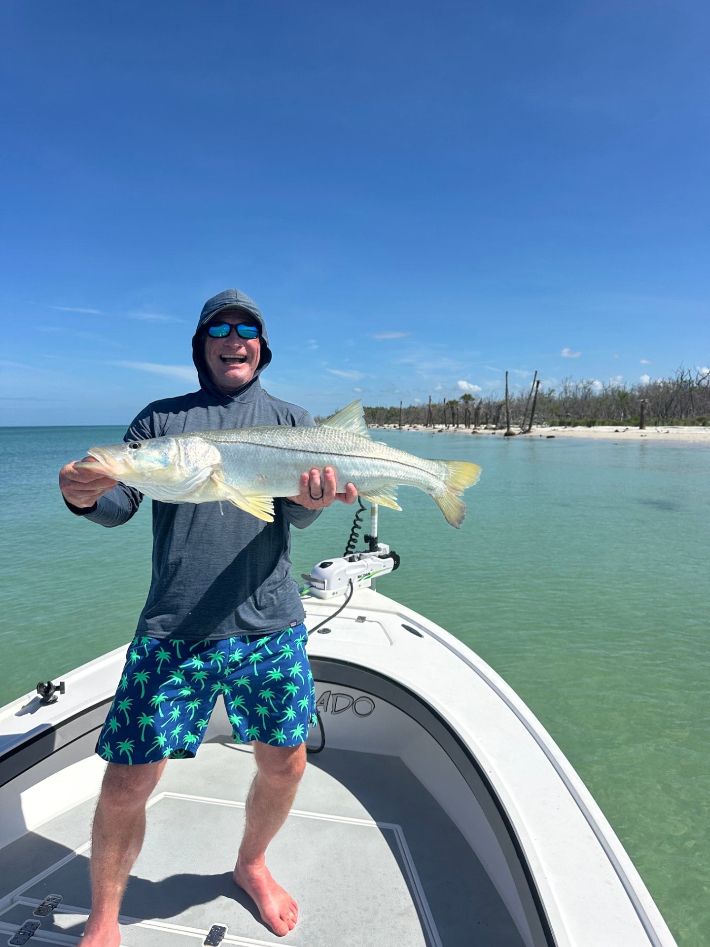 Angler holding a large snook caught on a Naples fishing charter