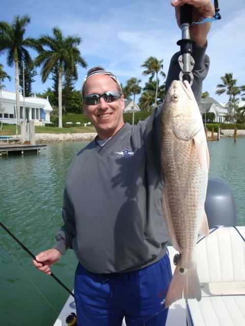 Redfish caught on a backcountry inshore fishing charter in Naples, Florida
