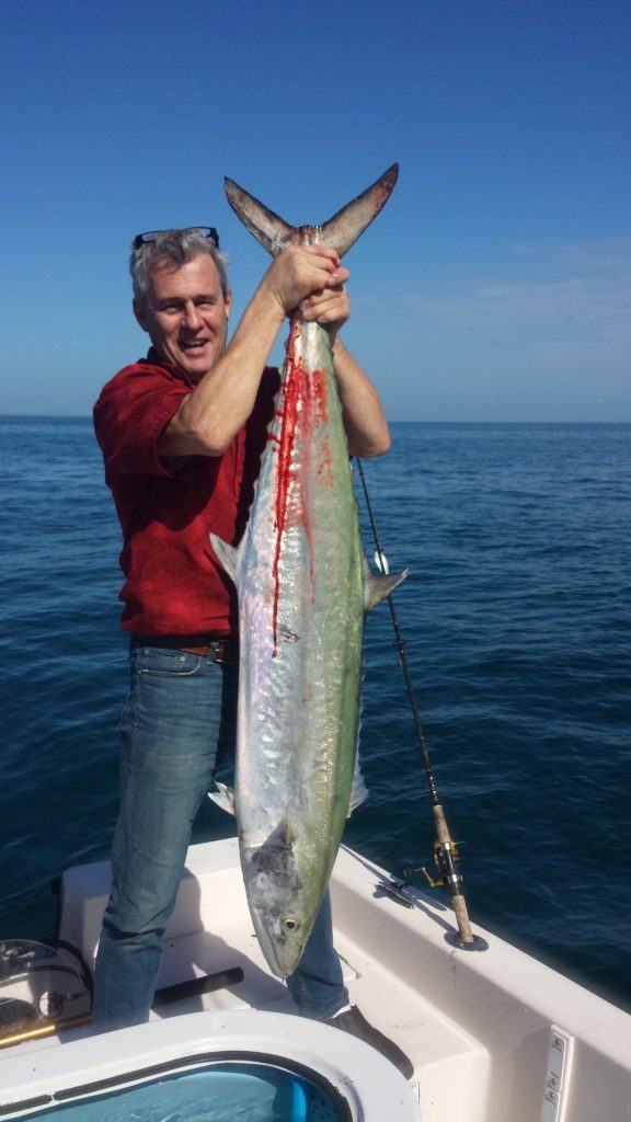 Naples Kingfish