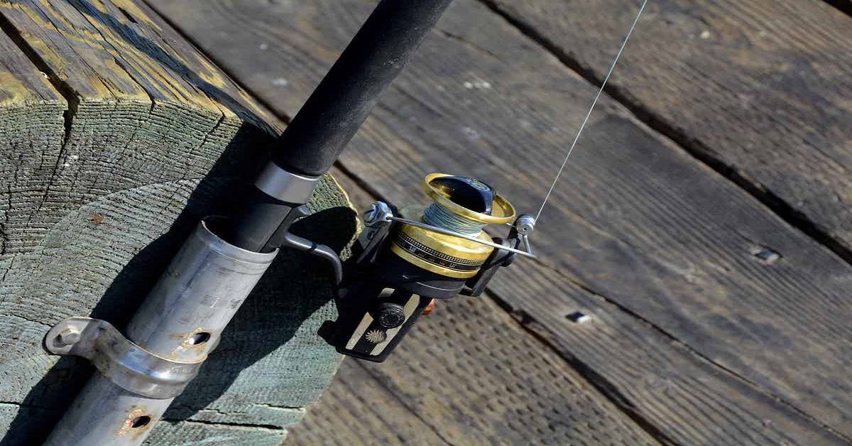 6 Items for Successful Inshore Fishing