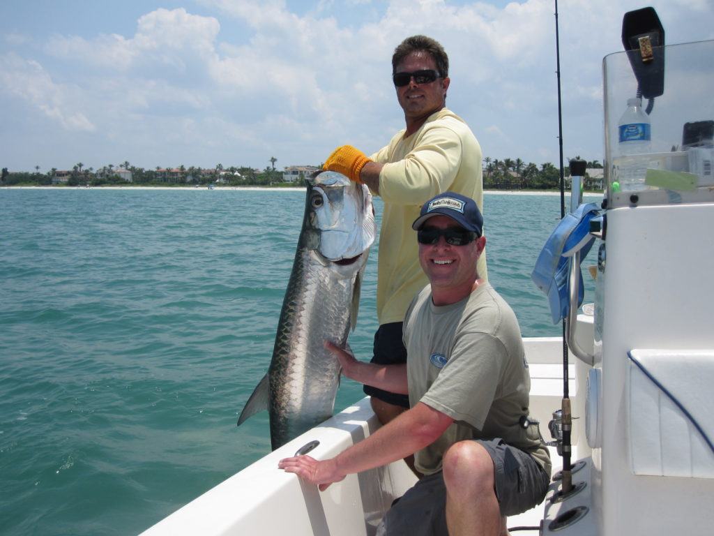 Record Day of  Naples Tarpon