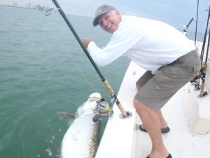 Fall Naples Tarpon Fishing