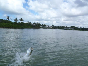 fishing naples fl