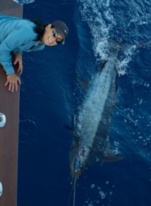 fishing charters naples fl