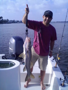 Naples Snook