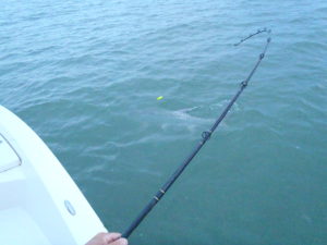 Big John Tarpon