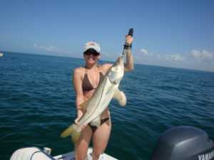 Naples Saltwater Fishing - Fishing 18