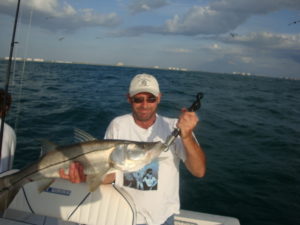 Naples Saltwater Fishing - Fishing 22