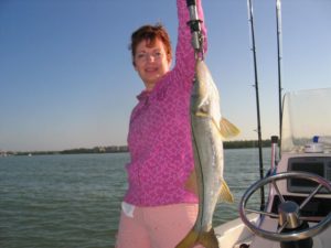 Naples Saltwater Fishing - Fishing 27