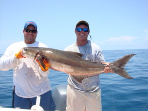 Naples Saltwater Fishing - Fishing 35