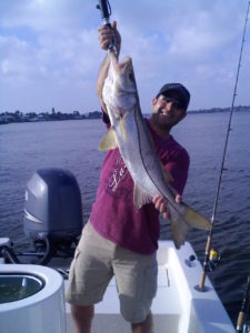 Nice Snook