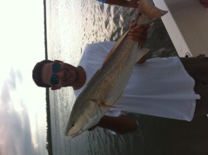 Redfish