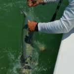 Naples Saltwater Fishing - Fishing 52