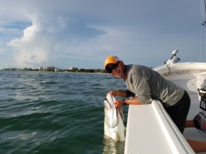 Naples Saltwater Fishing - Fishing 51