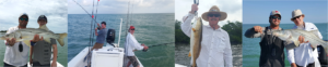 naples deep sea fishing charters